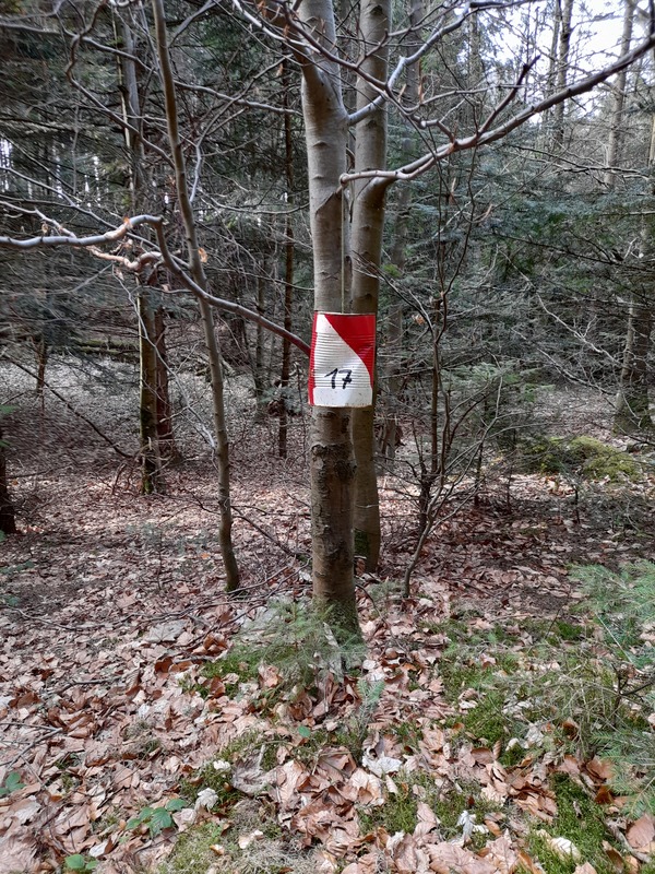 (269) - Mapa Bois de Peybrousson2022 - Frana Maro 2022