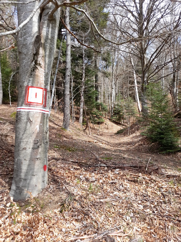(269) - Mapa Bois de Peybrousson2022 - Frana Maro 2022