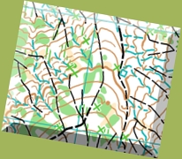 (269) - Mapa Bois de Peybrousson2022 - França Março 2022