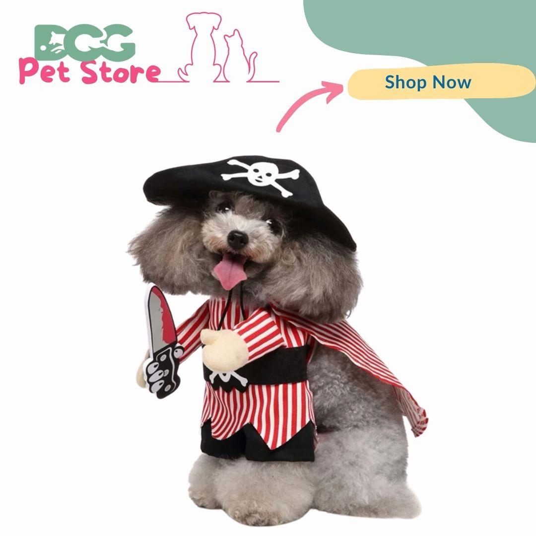 Fantasia pet pirata 2ps