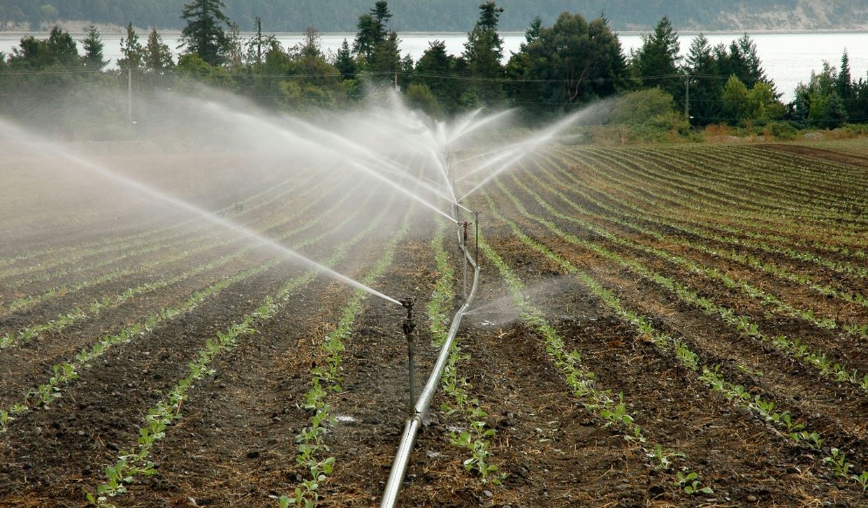 fertilizantes, Programa Nacional de Regadios com quatro novos projetos no valor de 50 milhões de euros