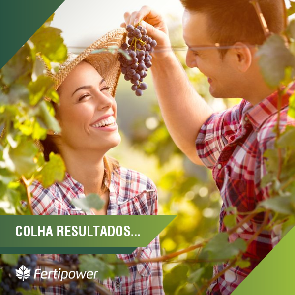 fertilizantes para agricultura, Cultive e Colha Resultados com a Fertipower.
