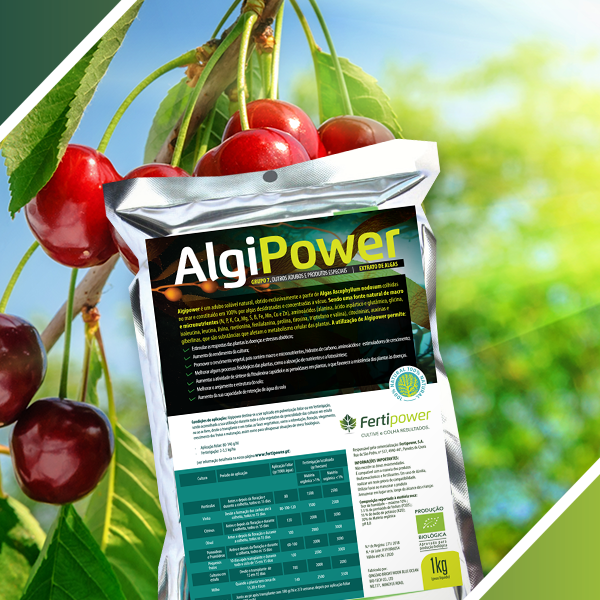 fertilizantes para plantas, Otimize as suas culturas com o Algipower