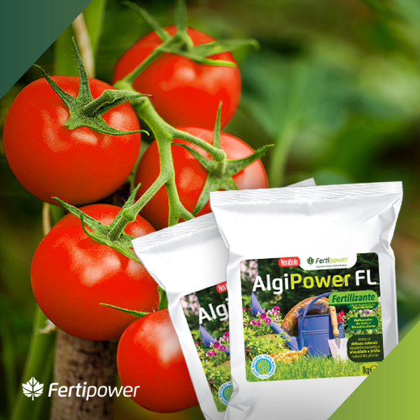 fertilizantes agricultura biologica, Otimize as suas culturas com o Algipower