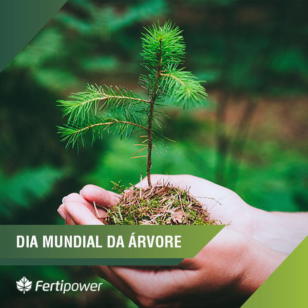 fertilizantes, Feliz Dia Mundial da Árvore