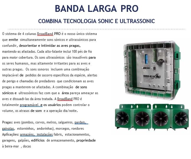 Dissuasores electrnicos